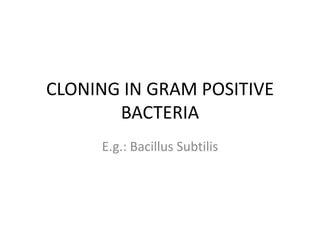 CLONING IN GRAM POSITIVE
       BACTERIA
     E.g.: Bacillus Subtilis
 