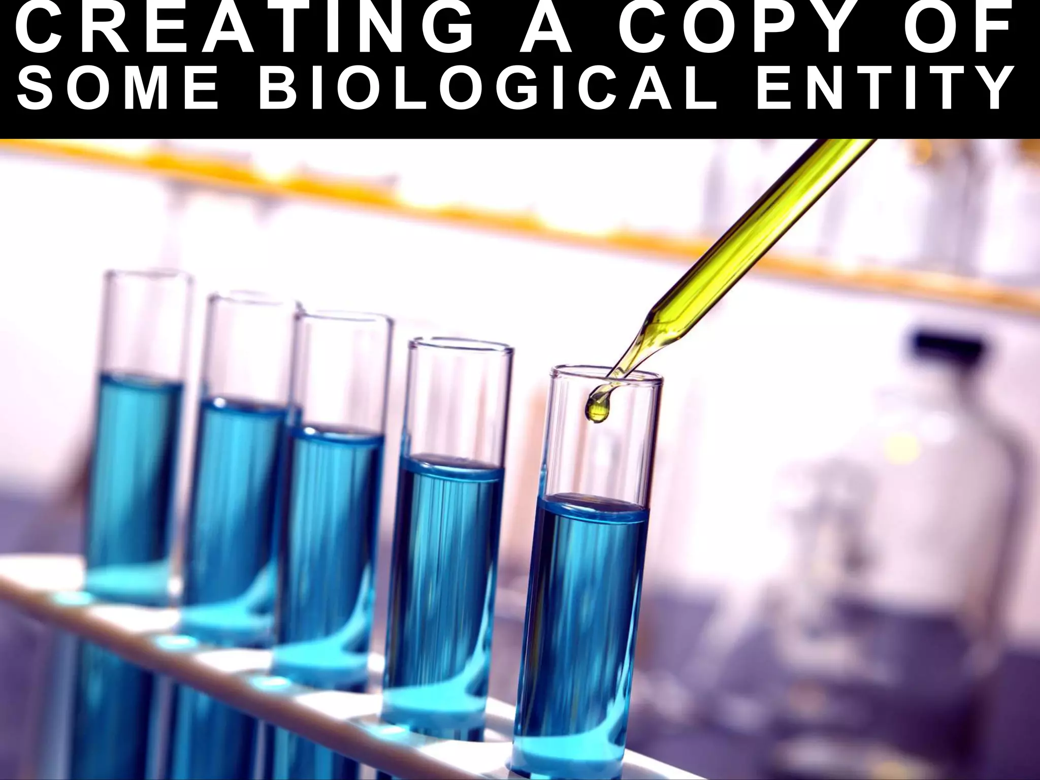 C R E A T I N G A C O P Y O F
S O M E B I O L O G I C A L E N T I T Y
 