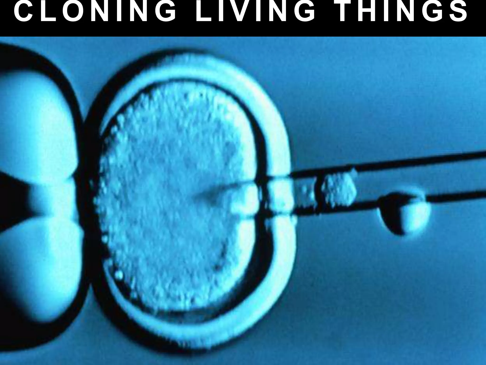 C L O N I N G L I V I N G T H I N G S
 