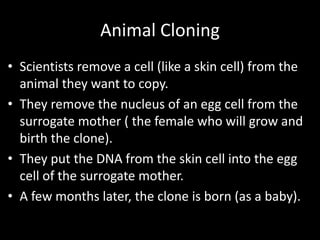 Cloning Notes | PPTX