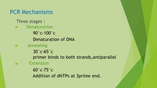 PCR Mechanisms
Three stages :


 Denaturation
90°c-100°c
Denaturation of DNA
Annealing
30°c-65°c
primer binds to both strands,antiparallel
Extension
60°c-75°c
Addition of dNTPs at 3prime end.
 