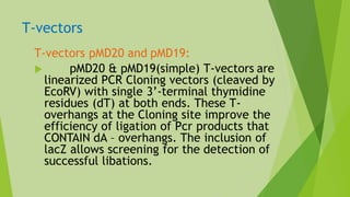 T-vectors pMD20 and pMD19:
 pMD20 & pMD19(simple) T-vectors are
linearized PCR Cloning vectors (cleaved by
EcoRV) with single 3’-terminal thymidine
residues (dT) at both ends. These T-
overhangs at the Cloning site improve the
efficiency of ligation of Pcr products that
CONTAIN dA – overhangs. The inclusion of
lacZ allows screening for the detection of
successful libations.
T-vectors
 
