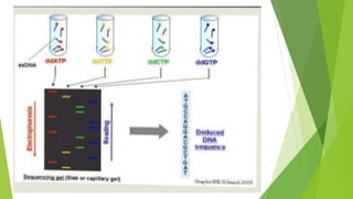 Cloning pcr | PDF