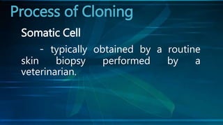 Somatic Cell
- typically obtained by a routine
skin biopsy performed by a
veterinarian.
Process of Cloning
 