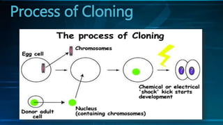Process of Cloning
 