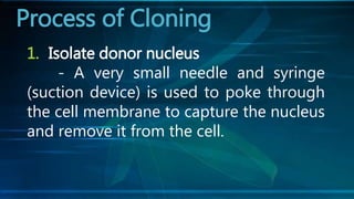 1. Isolate donor nucleus
- A very small needle and syringe
(suction device) is used to poke through
the cell membrane to capture the nucleus
and remove it from the cell.
Process of Cloning
 