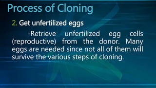 2. Get unfertilized eggs
-Retrieve unfertilized egg cells
(reproductive) from the donor. Many
eggs are needed since not all of them will
survive the various steps of cloning.
Process of Cloning
 