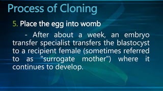 5. Place the egg into womb
- After about a week, an embryo
transfer specialist transfers the blastocyst
to a recipient female (sometimes referred
to as "surrogate mother") where it
continues to develop.
Process of Cloning
 
