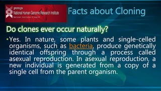 Facts about Cloning
Do clones ever occur naturally?
•Yes. In nature, some plants and single-celled
organisms, such as bacteria, produce genetically
identical offspring through a process called
asexual reproduction. In asexual reproduction, a
new individual is generated from a copy of a
single cell from the parent organism.
 