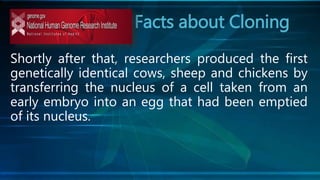 Facts about Cloning
Shortly after that, researchers produced the first
genetically identical cows, sheep and chickens by
transferring the nucleus of a cell taken from an
early embryo into an egg that had been emptied
of its nucleus.
 