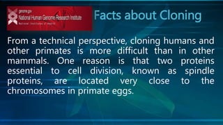 Facts about Cloning
From a technical perspective, cloning humans and
other primates is more difficult than in other
mammals. One reason is that two proteins
essential to cell division, known as spindle
proteins, are located very close to the
chromosomes in primate eggs.
 