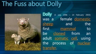 The Fuss about Dolly
(5 July 1996 – 14 February 2003)
was a female domestic
sheep and the
first mammal to
be cloned from an
adult somatic cell, using
the process of nuclear
transfer.
 