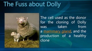 The Fuss about Dolly
The cell used as the donor
for the cloning of Dolly
was taken from
a mammary gland, and the
production of a healthy
clone
 