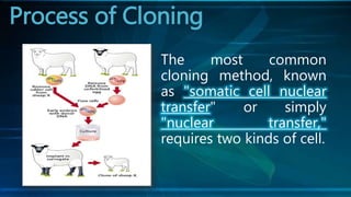 The most common
cloning method, known
as "somatic cell nuclear
transfer" or simply
"nuclear transfer,"
requires two kinds of cell.
Process of Cloning
 