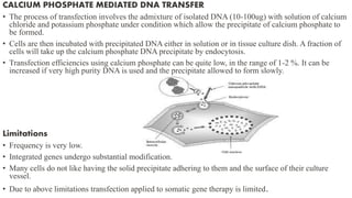 CALCIUM PHOSPHATE MEDIATED DNA TRANSFER
• The process of transfection involves the admixture of isolated DNA (10-100ug) with solution of calcium
chloride and potassium phosphate under condition which allow the precipitate of calcium phosphate to
be formed.
• Cells are then incubated with precipitated DNA either in solution or in tissue culture dish. A fraction of
cells will take up the calcium phosphate DNA precipitate by endocytosis.
• Transfection efficiencies using calcium phosphate can be quite low, in the range of 1-2 %. It can be
increased if very high purity DNA is used and the precipitate allowed to form slowly.
Limitations
• Frequency is very low.
• Integrated genes undergo substantial modification.
• Many cells do not like having the solid precipitate adhering to them and the surface of their culture
vessel.
• Due to above limitations transfection applied to somatic gene therapy is limited.
 