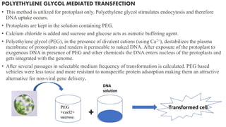 POLYETHYLENE GLYCOL MEDIATED TRANSFECTION
• This method is utilized for protoplast only. Polyethylene glycol stimulates endocytosis and therefore
DNA uptake occurs.
• Protoplasts are kept in the solution containing PEG.
• Calcium chloride is added and sucrose and glucose acts as osmotic buffering agent.
• Polyethylene glycol (PEG), in the presence of divalent cations (using Ca2+), destabilizes the plasma
membrane of protoplasts and renders it permeable to naked DNA. After exposure of the protoplast to
exogenous DNA in presence of PEG and other chemicals the DNA enters nucleus of the protoplasts and
gets integrated with the genome.
• After several passages in selectable medium frequency of transformation is calculated. PEG based
vehicles were less toxic and more resistant to nonspecific protein adsorption making them an attractive
alternative for non-viral gene delivery.
PEG
+cacl2+
sucrose.
+
DNA
solution
Transformed cell
 