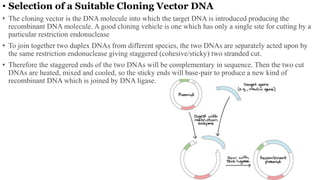 • Selection of a Suitable Cloning Vector DNA
• The cloning vector is the DNA molecule into which the target DNA is introduced producing the
recombinant DNA molecule. A good cloning vehicle is one which has only a single site for cutting by a
particular restriction endonuclease
• To join together two duplex DNAs from different species, the two DNAs are separately acted upon by
the same restriction endonuclease giving staggered (cohesive/sticky) two stranded cut.
• Therefore the staggered ends of the two DNAs will be complementary in sequence. Then the two cut
DNAs are heated, mixed and cooled, so the sticky ends will base-pair to produce a new kind of
recombinant DNA which is joined by DNA ligase.
 