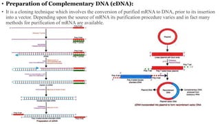 • Preparation of Complementary DNA (cDNA):
• It is a cloning technique which involves the conversion of purified mRNA to DNA, prior to its insertion
into a vector. Depending upon the source of mRNA its purification procedure varies and in fact many
methods for purification of mRNA are available.
 