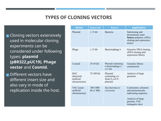Cloning Vector, PLASMID VECTOR, MEHANISM | PPTX