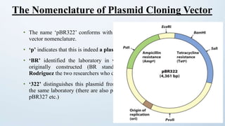 • The name ‘pBR322’ conforms with the standard rules for
vector nomenclature.
• ‘p’ indicates that this is indeed a plasmid.
• ‘BR’ identified the laboratory in which the vector was
originally constructed (BR stands for Bolivar and
Rodriguez the two researchers who developed pBR322)
• ‘322’ distinguishes this plasmid from others developed in
the same laboratory (there are also plasmid called pBR325,
pBR327 etc.)
The Nomenclature of Plasmid Cloning Vector
 