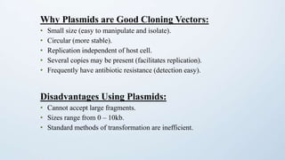 Why Plasmids are Good Cloning Vectors:
• Small size (easy to manipulate and isolate).
• Circular (more stable).
• Replication independent of host cell.
• Several copies may be present (facilitates replication).
• Frequently have antibiotic resistance (detection easy).
Disadvantages Using Plasmids:
• Cannot accept large fragments.
• Sizes range from 0 – 10kb.
• Standard methods of transformation are inefficient.
 