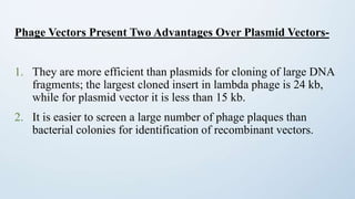 Phage Vectors Present Two Advantages Over Plasmid Vectors-
1. They are more efficient than plasmids for cloning of large DNA
fragments; the largest cloned insert in lambda phage is 24 kb,
while for plasmid vector it is less than 15 kb.
2. It is easier to screen a large number of phage plaques than
bacterial colonies for identification of recombinant vectors.
 