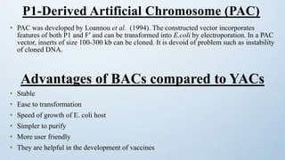 • PAC was developed by Loannou et al. (1994). The constructed vector incorporates
features of both P1 and Fʹ and can be transformed into E.coli by electroporation. In a PAC
vector, inserts of size 100-300 kb can be cloned. It is devoid of problem such as instability
of cloned DNA.
Advantages of BACs compared to YACs
• Stable
• Ease to transformation
• Speed of growth of E. coli host
• Simpler to purify
• More user friendly
• They are helpful in the development of vaccines
P1-Derived Artificial Chromosome (PAC)
 