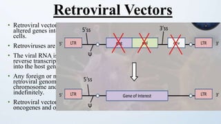 • Retroviral vectors are used to introduce new or
altered genes into the genomes of human and animal
cells.
• Retroviruses are RNA viruses.
• The viral RNA is converted into DNA by the viral
reverse transcriptase and then is efficiently integrated
into the host genome
• Any foreign or mutated host gene introduced into the
retroviral genome will be integrated into the host
chromosome and can reside there practically
indefinitely.
• Retroviral vectors are widely used to study
oncogenes and other human genes.
Retroviral Vectors
 
