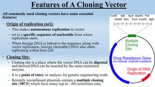 All commonly used cloning vectors have some essential
features:
• Origin of replication (ori):
– This makes autonomous replication in vector.
– ori is a specific sequence of nucleotide from where
replication starts.
– When foreign DNA is linked to the sequence along with
vector replication, foreign (desirable) DNA also starts
replicating within host cell.
• Cloning Site:
– Cloning site is a place where the vector DNA can be digested
and desired DNA can be inserted by the same restriction
enzyme.
– It is a point of entry or analysis for genetic engineering work.
– Recently recombinant plasmids contain a multiple cloning
site (MCS) which have many (up to ~20) restriction sites.
Features of A Cloning Vector
 