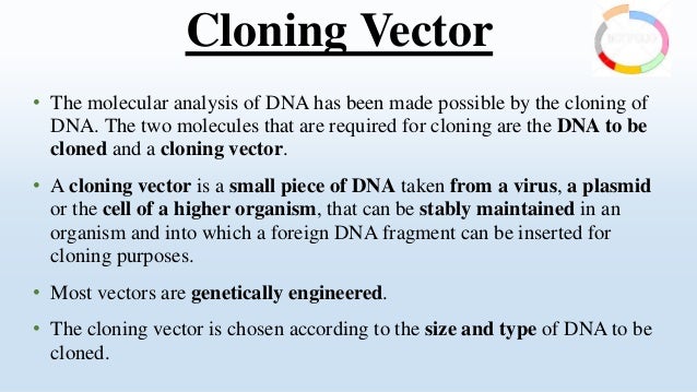 cloning vector