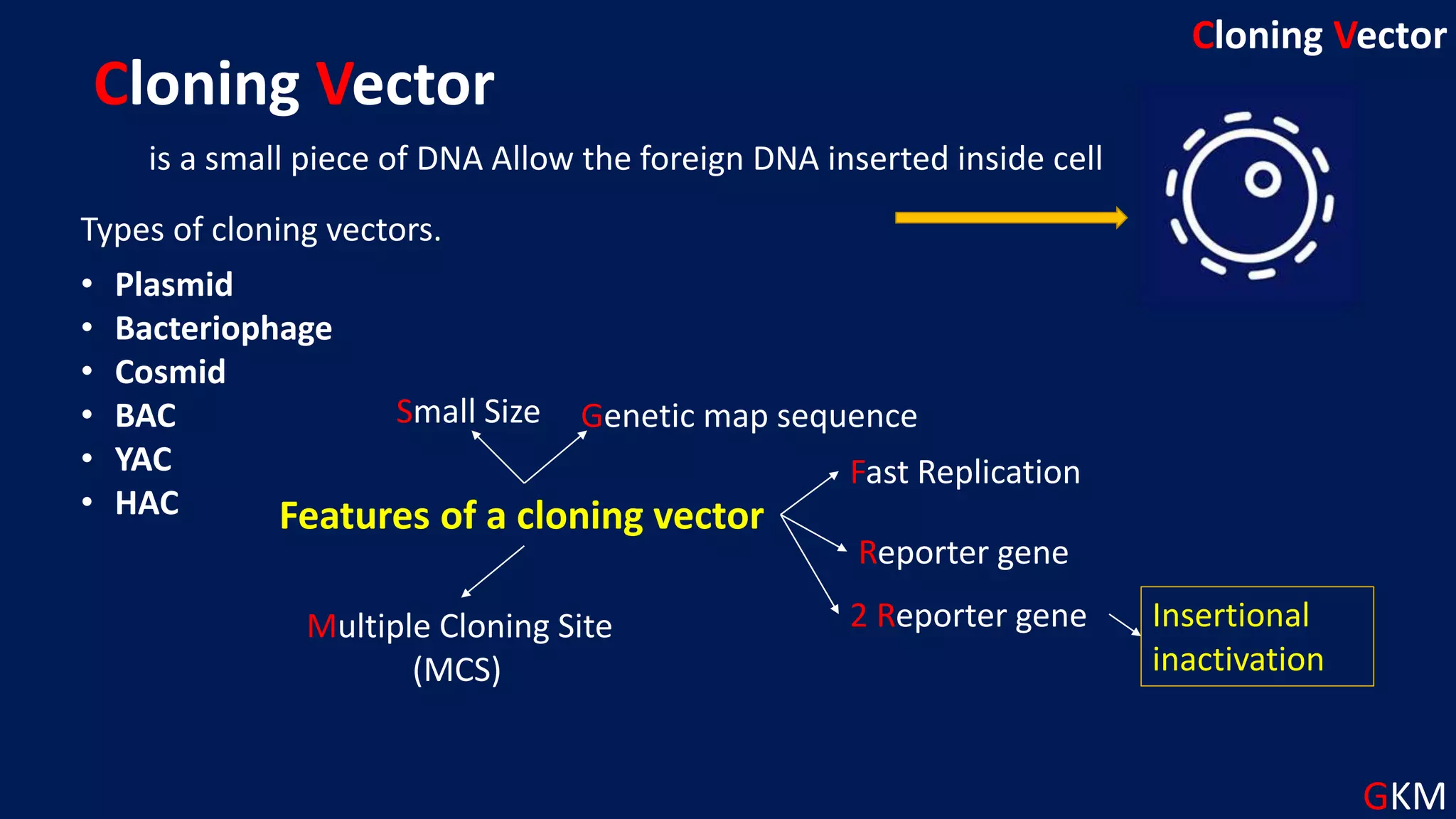 Cloning Vector
is a small piece of DNA Allow the foreign DNA inserted inside cell
GKM
Cloning Vector
Types of cloning vectors.
• Plasmid
• Bacteriophage
• Cosmid
• BAC
• YAC
• HAC Features of a cloning vector
Small Size Genetic map sequence
Fast Replication
Reporter gene
2 Reporter gene Insertional
inactivation
Multiple Cloning Site
(MCS)