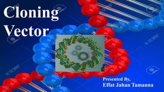 Cloning
Vector
Presented By,
Effat Jahan Tamanna
 