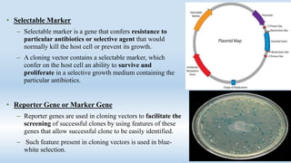 • Selectable Marker
– Selectable marker is a gene that confers resistance to
particular antibiotics or selective agent that would
normally kill the host cell or prevent its growth.
– A cloning vector contains a selectable marker, which
confer on the host cell an ability to survive and
proliferate in a selective growth medium containing the
particular antibiotics.
• Reporter Gene or Marker Gene
– Reporter genes are used in cloning vectors to facilitate the
screening of successful clones by using features of these
genes that allow successful clone to be easily identified.
– Such feature present in cloning vectors is used in blue-
white selection.
 