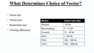 • Insert size
• Vector size
• Restriction size
• Cloning efficiency
What Determines Choice of Vector?
Vector Insert size (kb)
Plasmid <10 kb
Bacteriophage 9 – 15 kb
Cosmids 23 – 45 kb
BACs ≤ 300 kb
PACs 100 – 300 kb
YACs 100 – 3000 kb
 