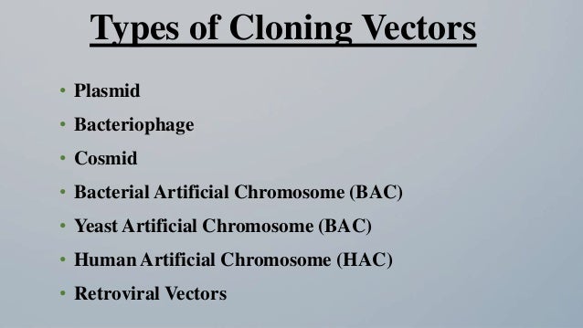 Cloning vectors
