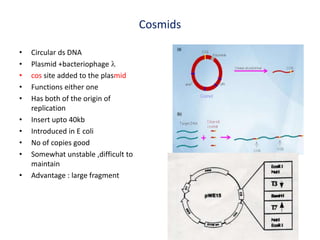 Cosmids
• Circular ds DNA
• Plasmid +bacteriophage l
• cos site added to the plasmid
• Functions either one
• Has both of the origin of
replication
• Insert upto 40kb
• Introduced in E coli
• No of copies good
• Somewhat unstable ,difficult to
maintain
• Advantage : large fragment
 