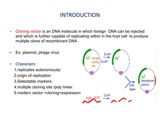 INTRODUCTION
• Cloning vector is an DNA molecule in which foreign DNA can be injected
and which is further capable of replicating within in the host cell to produce
multiple clone of recombinant DNA
• Ex: plasmid, phage virus
• Characters :
1.replicates autonomously
2.origin of replication
3.Selectable markers
4.multiple cloning site /poly linker
5.modern vector =cloning+expression
 
