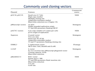 Commonly used cloning vectors
 