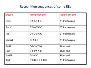 Recognition sequences of some REs
Enzyme Recognition site Type of cut end
EcoRI G￬A-A-T-T-C 5’ P extension
BamHI G￬G-A-T-C-C 5’ P extension
PstI C-T-G-C-A￬G 3’ P extension
Sau3A1 ￬G-A-T-C 5’ P extension
PvuII C-A-G￬C-T-G Blunt end
HpaI G-T-T￬A-A-C Blunt end
HaeIII G-G￬C-C Blunt end
NotI G￬C-G-G-C-C-G-C 5’ P extension
 