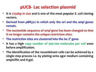 pUC8- Lac selection plasmid
• It is 2750bp in size and is one of the most popular E. coli cloning
vectors.
• Derived from pBR322 in which only the ori and the ampR
genes
remain.
• The nucleotide sequence of ampR
gene has been changed so that
it no longer contains the unique restriction sites.
• The restriction sites are clustered into the lac Z’ gene.
• It has a high copy number of 500-700 molecules per cell even
before amplification.
• The identification of the recombinant cells can be achieved by a
single step process i.e. by plating onto agar medium containing
ampicillin and X-gal.
 
