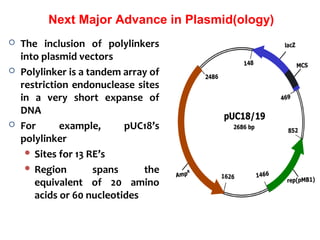 Next Major Advance in Plasmid(ology)
 The inclusion of polylinkers
into plasmid vectors
 Polylinker is a tandem array of
restriction endonuclease sites
in a very short expanse of
DNA
 For example, pUC18’s
polylinker
 Sites for 13 RE’s
 Region spans the
equivalent of 20 amino
acids or 60 nucleotides
 