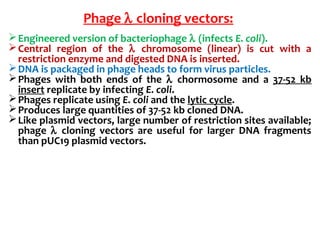 Engineered version of bacteriophage λ (infects E. coli).
Central region of the λ chromosome (linear) is cut with a
restriction enzyme and digested DNA is inserted.
DNA is packaged in phage heads to form virus particles.
Phages with both ends of the λ chormosome and a 37-52 kb
insert replicate by infecting E. coli.
Phages replicate using E. coli and the lytic cycle.
Produces large quantities of 37-52 kb cloned DNA.
Like plasmid vectors, large number of restriction sites available;
phage λ cloning vectors are useful for larger DNA fragments
than pUC19 plasmid vectors.
Phage λ cloning vectors:
 