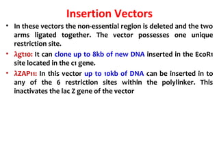 Insertion Vectors
• In these vectors the non-essential region is deleted and the two
arms ligated together. The vector possesses one unique
restriction site.
• λgt10: It can clone up to 8kb of new DNA inserted in the EcoR1
site located in the c1 gene.
• λZAP11: In this vector up to 10kb of DNA can be inserted in to
any of the 6 restriction sites within the polylinker. This
inactivates the lac Z gene of the vector
 