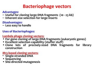 Bacteriophage vectors
Advantages:
– Useful for cloning large DNA fragments (10 - 23 kb)
– Inherent size selection for large inserts
Disadvantages:
– Less easy to handle
Uses of Bacteriophages:
Lambda phage cloning vectors:
• For gene cloning of large DNA fragments (eukaryotic genes)
• Excellent selection capability (stuffer stuff)
• Clone lots of precisely-sized DNA fragments for library
construction
M13 based cloning vectors:
• Single-stranded DNA
• Sequencing
• Site-directed mutagenesis
 