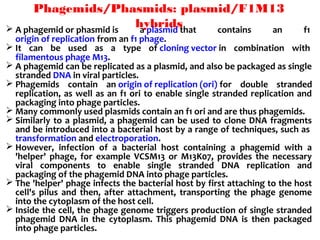 Phagemids/Phasmids: plasmid/F1M13
hybrids A phagemid or phasmid is a plasmid that contains an f1
origin of replication from an f1 phage.
 It can be used as a type of cloning vector in combination with
filamentous phage M13.
 A phagemid can be replicated as a plasmid, and also be packaged as single
stranded DNA in viral particles.
 Phagemids contain an origin of replication (ori) for double stranded
replication, as well as an f1 ori to enable single stranded replication and
packaging into phage particles.
 Many commonly used plasmids contain an f1 ori and are thus phagemids.
 Similarly to a plasmid, a phagemid can be used to clone DNA fragments
and be introduced into a bacterial host by a range of techniques, such as
transformation and electroporation.
 However, infection of a bacterial host containing a phagemid with a
'helper' phage, for example VCSM13 or M13K07, provides the necessary
viral components to enable single stranded DNA replication and
packaging of the phagemid DNA into phage particles.
 The 'helper' phage infects the bacterial host by first attaching to the host
cell's pilus and then, after attachment, transporting the phage genome
into the cytoplasm of the host cell.
 Inside the cell, the phage genome triggers production of single stranded
phagemid DNA in the cytoplasm. This phagemid DNA is then packaged
into phage particles.
 