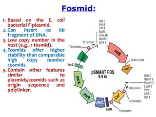 1. Based  on  the  E. coli
bacterial F-plasmid.
2. Can  insert  40  kb 
fragment of DNA.
3. Low  copy  number  in  the 
host (e.g., 1 fosmid).
4.Fosmids  offer  higher 
stability than comparable 
high  copy  number 
cosmids. 
5. Contain  other  features 
similar  to 
plasmids/cosmids such as 
origin  sequence  and 
polylinker.
Fosmid:
 