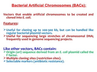 Vectors  that  enable  artificial  chromosomes  to  be  created  and 
cloned into E. coli.
Features:
Useful  for  cloning  up  to  200-300  kb,  but  can  be  handled  like 
regular bacterial plasmid vectors.
Useful  for  sequencing  large  stretches  of  chromosomal  DNA; 
frequently used in genome sequencing projects.
Like other vectors, BACs contain:
Origin (ori) sequence derived from an E. coli plasmid called the 
F factor.
Multiple cloning sites (restriction sites).
Selectable markers (antibiotic resistance).
Bacterial Artificial Chromosomes (BACs):
 