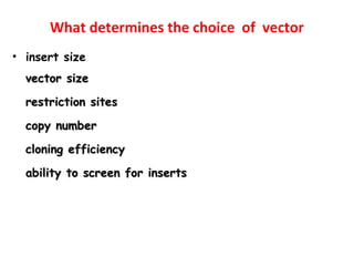 What determines the choice of vector
• insert size
vector sizevector size
restriction sitesrestriction sites
copy numbercopy number
cloning efficiencycloning efficiency
ability to screen for insertsability to screen for inserts
 