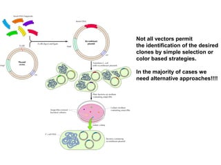 Not all vectors permit
the identification of the desired
clones by simple selection or
color based strategies.
In the majority of cases we
need alternative approaches!!!!
 