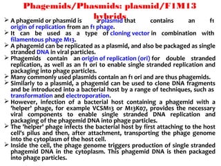 Features  of  both  plasmid  and 
lambda phage cloning vectors.
Circular.
Do not occur naturally
Origin (ori) sequence...